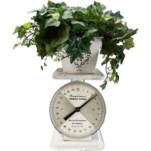VINTAGE American Family White Farmhouse  Decorative Kitchen Scale & Faux Plant.